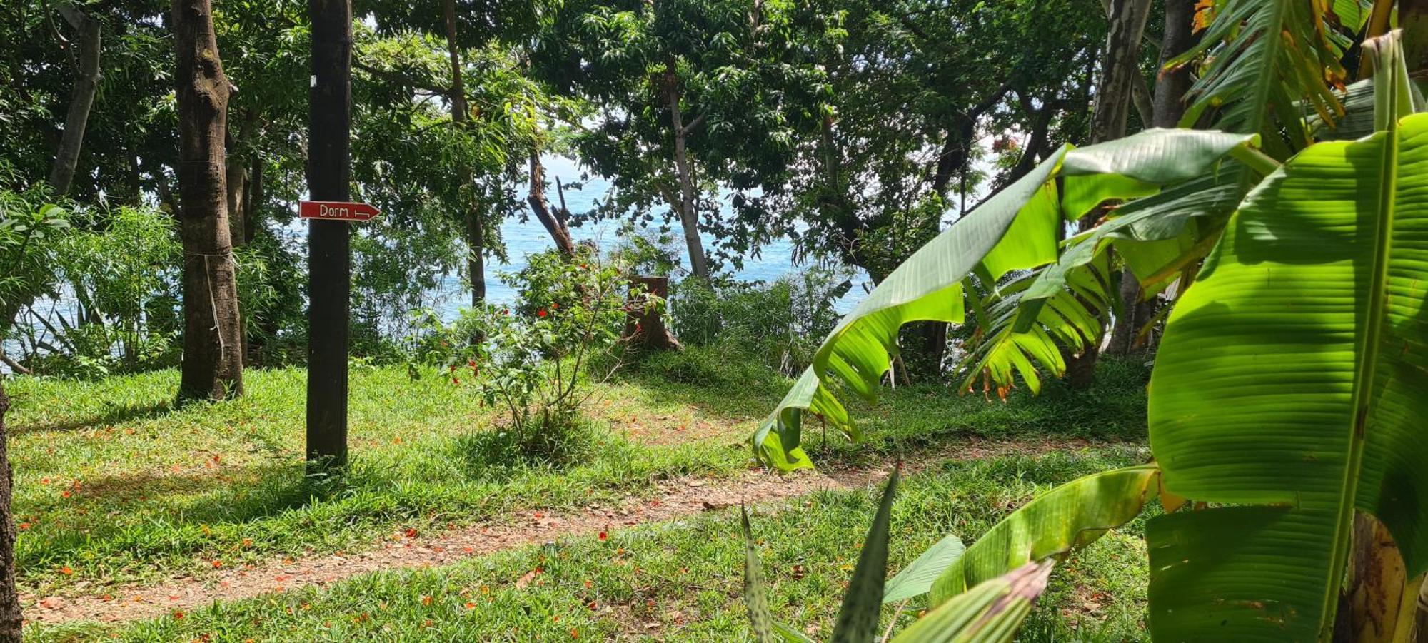 Butterfly Space- A Non-Profit Eco-Lodge Nkhata Bay Exterior foto