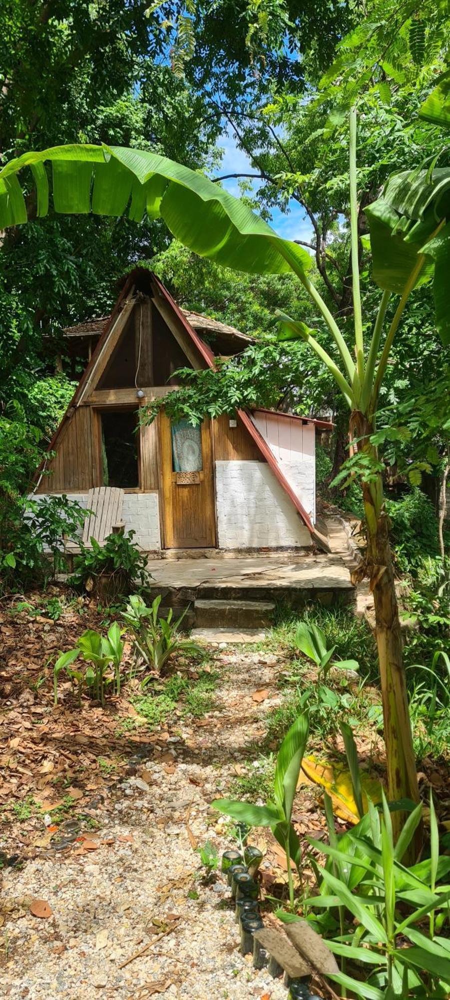 Butterfly Space- A Non-Profit Eco-Lodge Nkhata Bay Exterior foto
